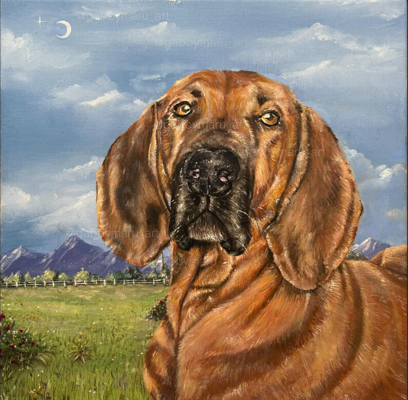 Tucker!! - Commissioned Pet Portrait, 12"x12", Oil on canvas, 2025