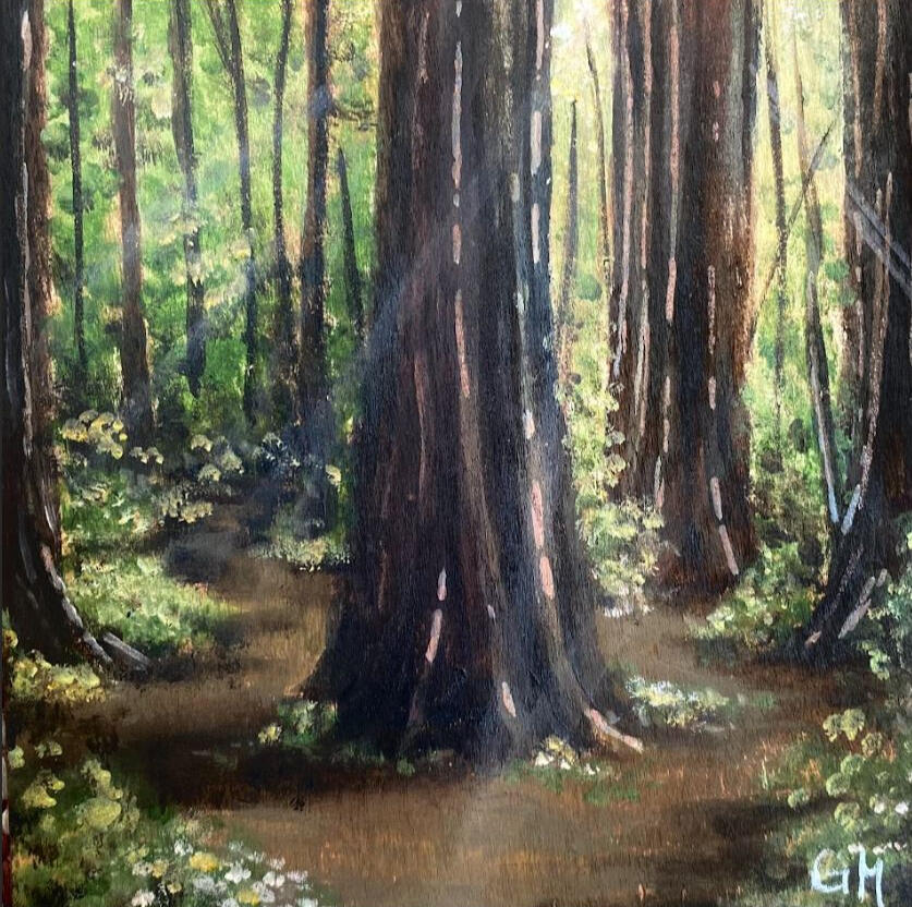 SOLD Redwoods 6"x6" Acrylic on Wood